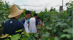 调查研究必须有担当精神